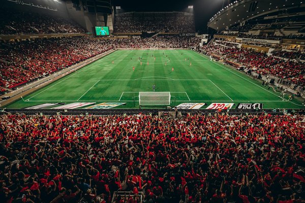 MMA : la nutrition adéquate pour optimiser la performance